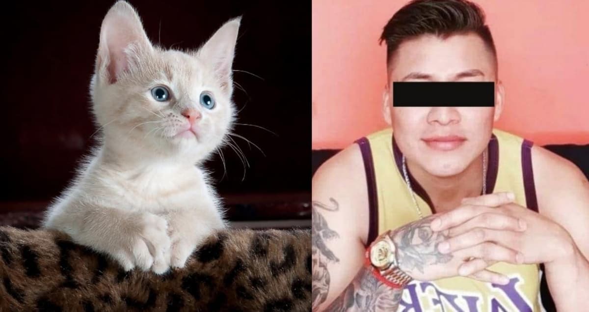 Video: Captan a sujeto asfixiando a un gatito hasta matarlo; ya fue denunciado