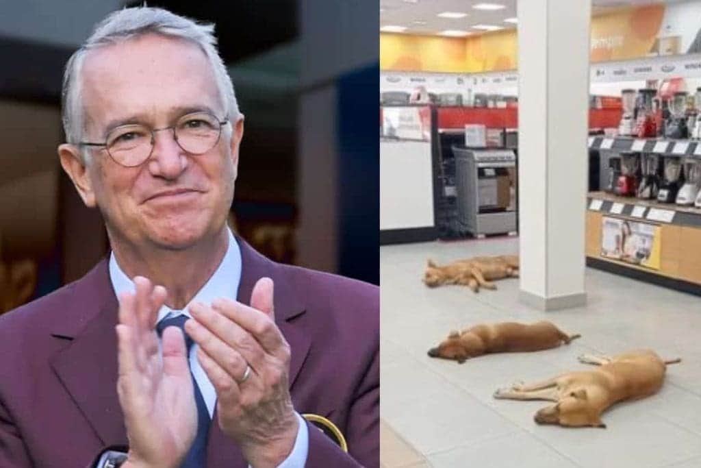 Ricardo Salinas Pliego ordena permitir a perros resguardarse del calor en tiendas Elektra