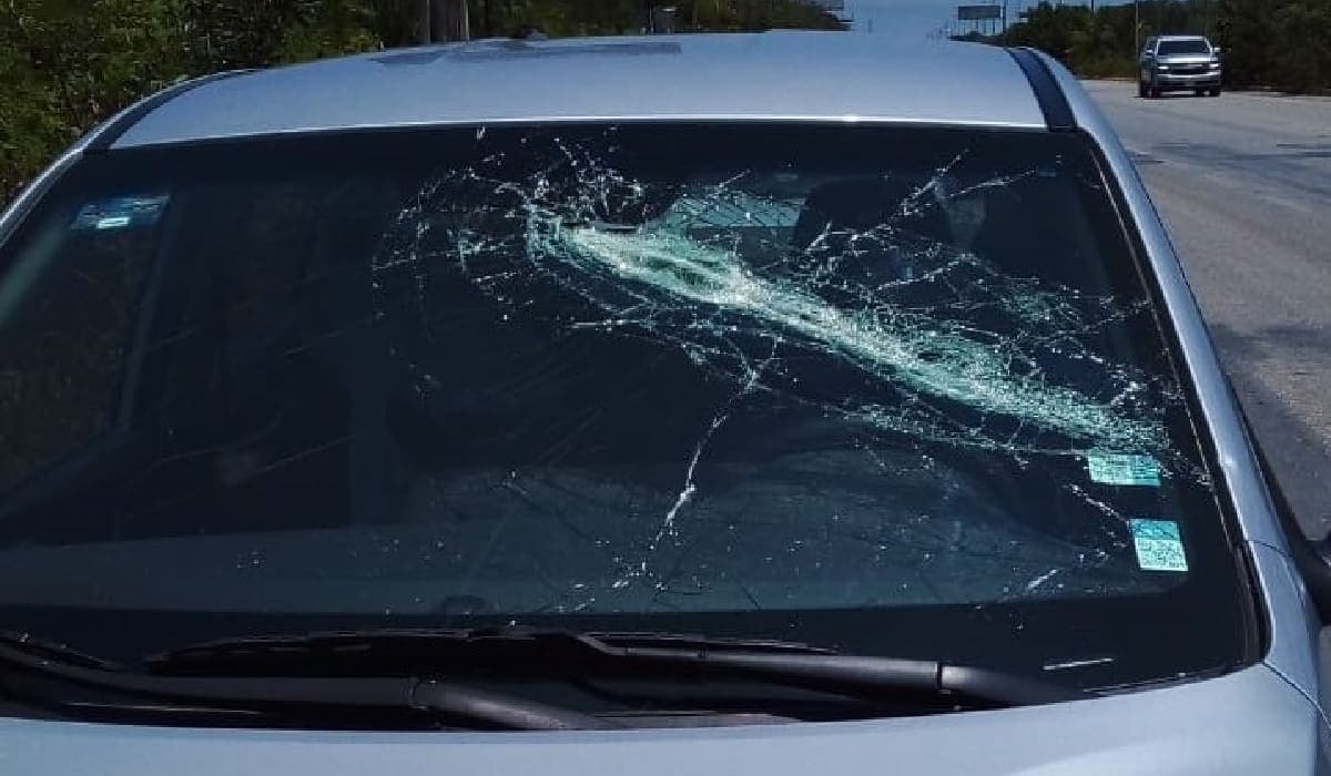 Abren nuevos procesos administrativos por recientes ataques de taxistas