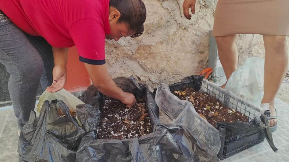 Impulsan huertos orgánicos de autoconsumo y comercialización