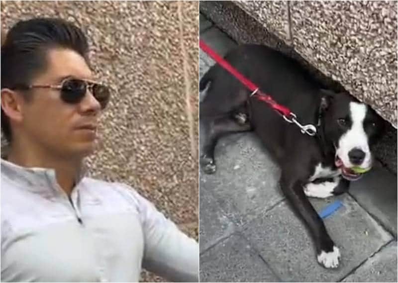 Exhiben en video a un hombre por ahorcar y golpear a su perro en Polanco, policía lo dejó libre