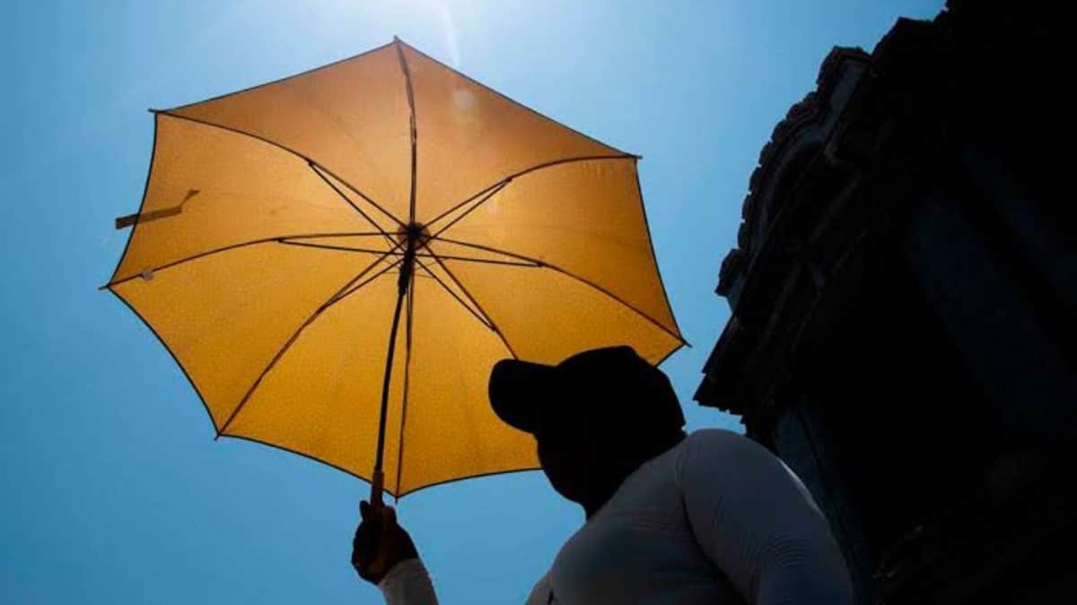 Causan altas temperaturas seis muertes en Quintana Roo