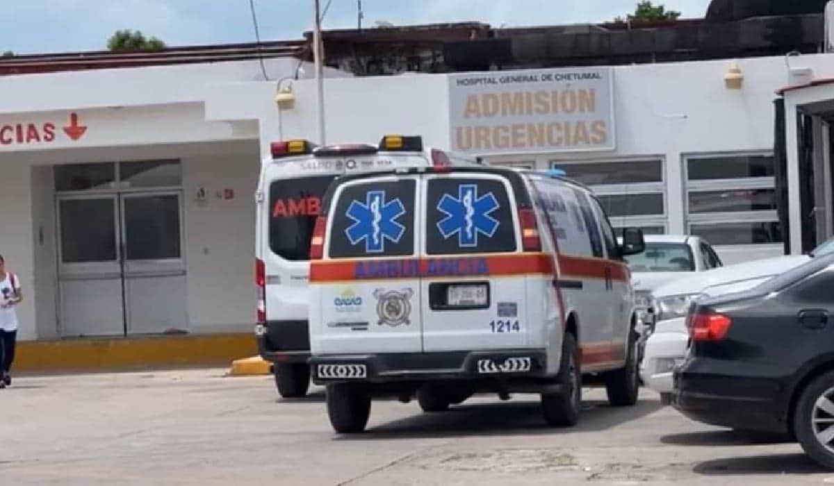 Trasladan a cinco trabajadores del Tren Maya a un hospital de Chetumal, tras ser atacados por abejas