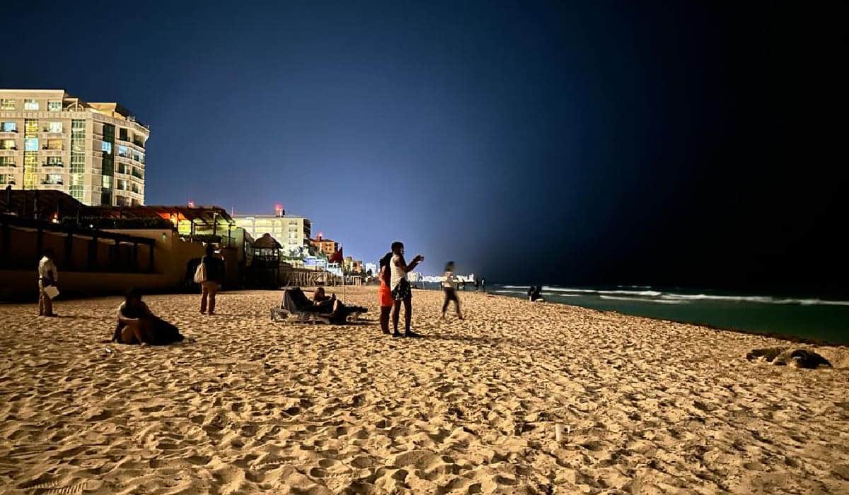 Molestan turistas a tortuga mientras desovaba en Cancún