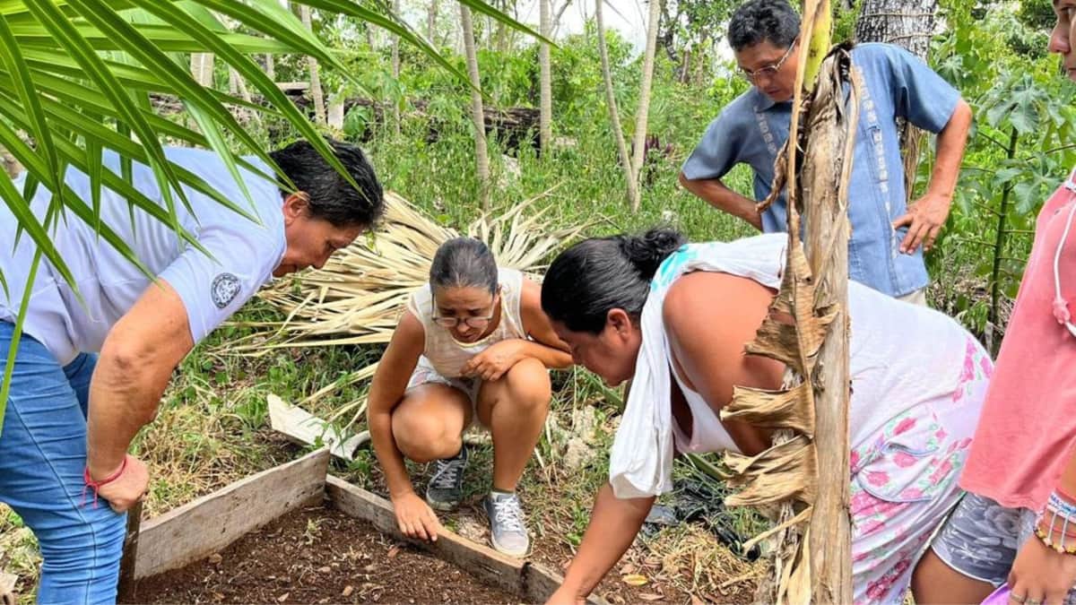 Gobierno municipal invita a producir sus propios alimentos, con huertos orgánicos