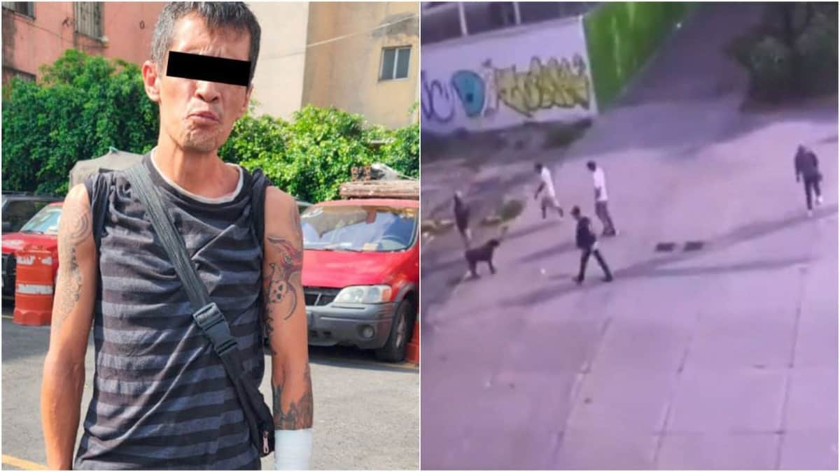 Video: Hacen justicia por el perrito Zeus, logran detener al responsable de su muerte