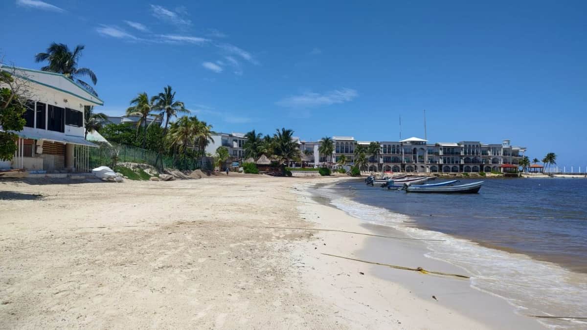 Pescadores y prestadores de servicios, a favor de que El Recodo sea pet friendly