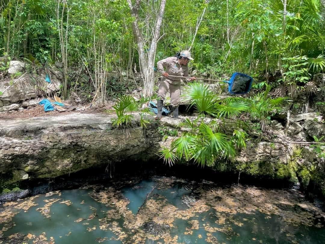 Contaminan con aceite un cenote en la isla de Cozumel