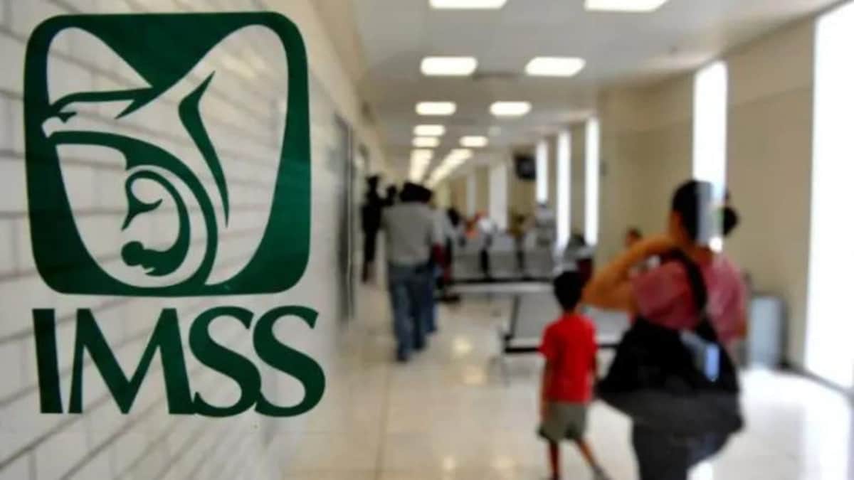 IMSS pidió 282 mdp para elevadores y no los compró