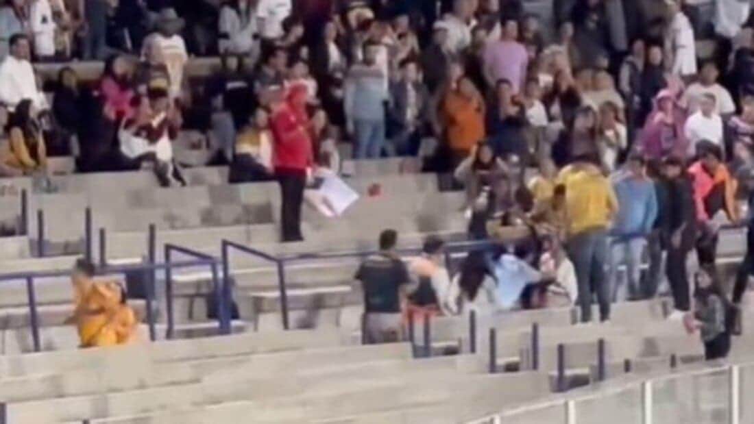 Video: Aficionados protagonizan brutal pelea en el partido entre Pumas y Tigres