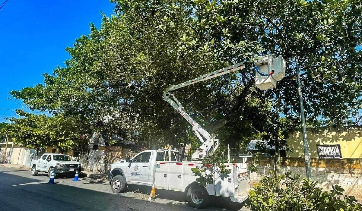 Realizan poda de árboles por temporada de lluvias
