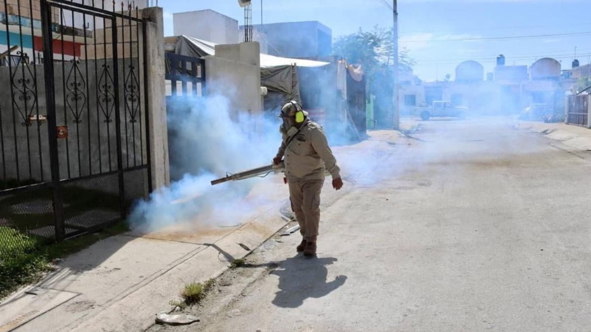 Convocan a sumarse a la Segunda Jornada Nacional Contra el Dengue