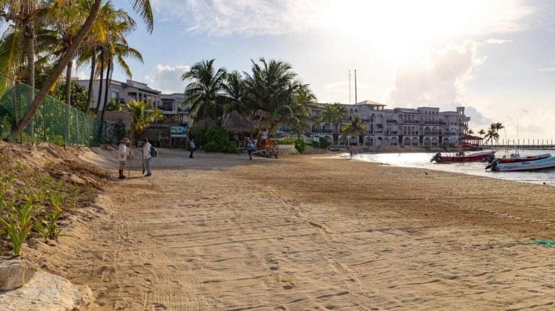 Increíble: Revierten erosión de "El Recodo" con arena de sargazo en Playa del Carmen