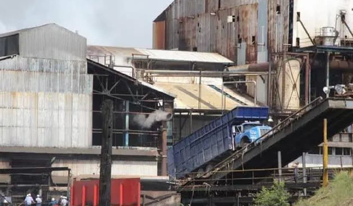 Preparan cañeros contratación de mil centroamericanos, ante escasez de mano de obra