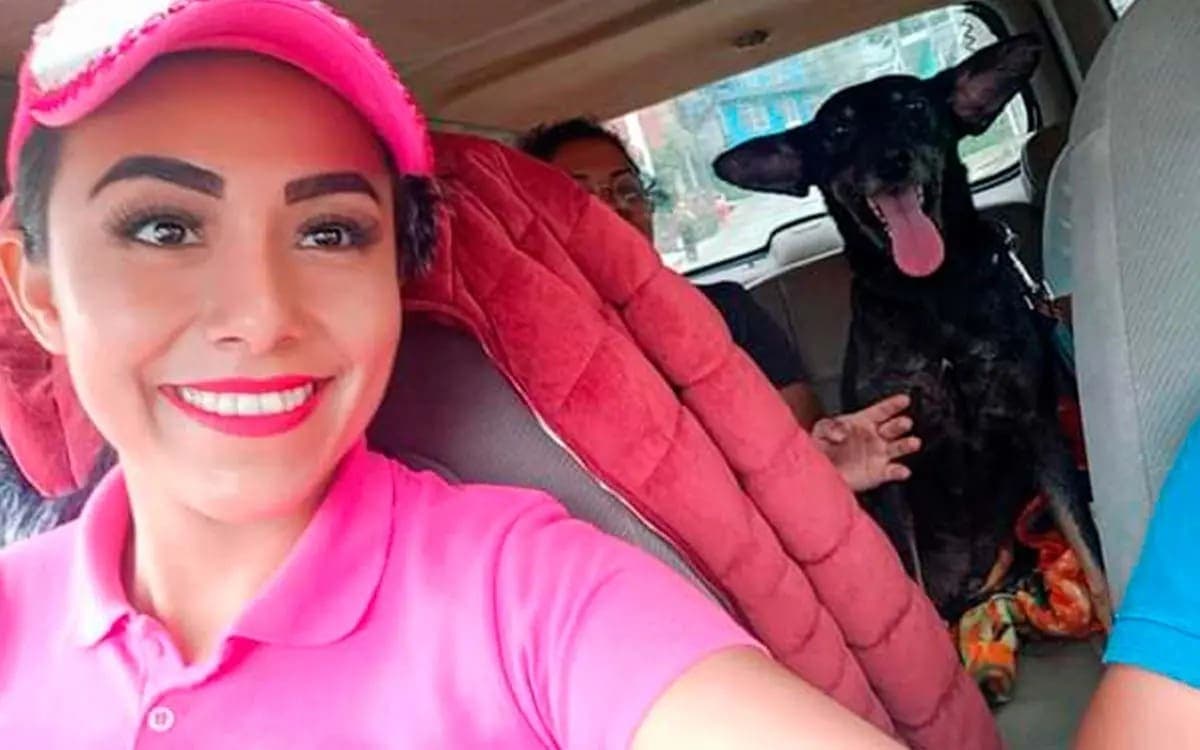 La Barbie rescatista: Mexicana salva animales en su camioneta rosa