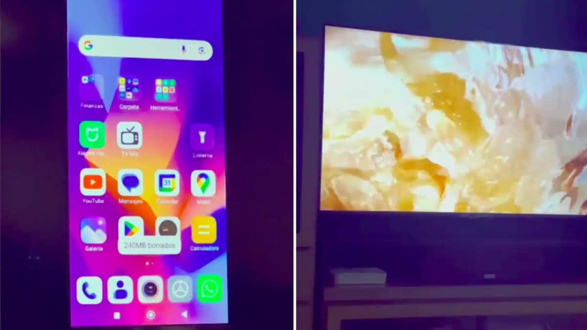 Video: Su vecina le robaba el wifi y la descubrió de la manera más insólita