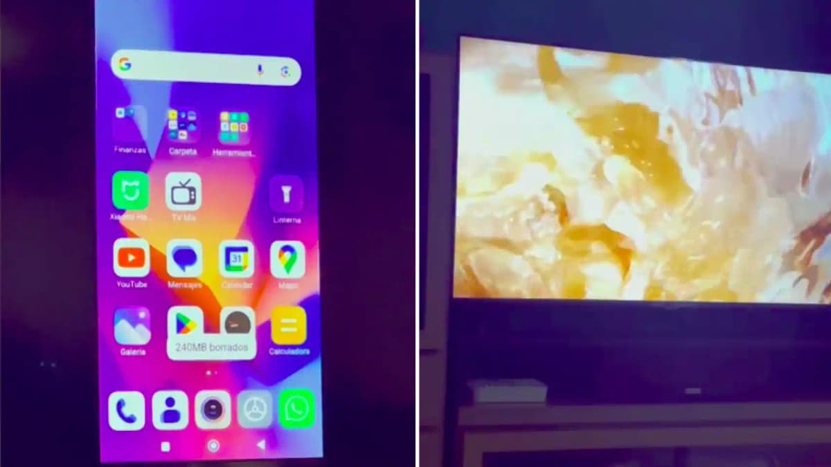 Video: Su vecina le robaba el wifi y la descubrió de la manera más insólita