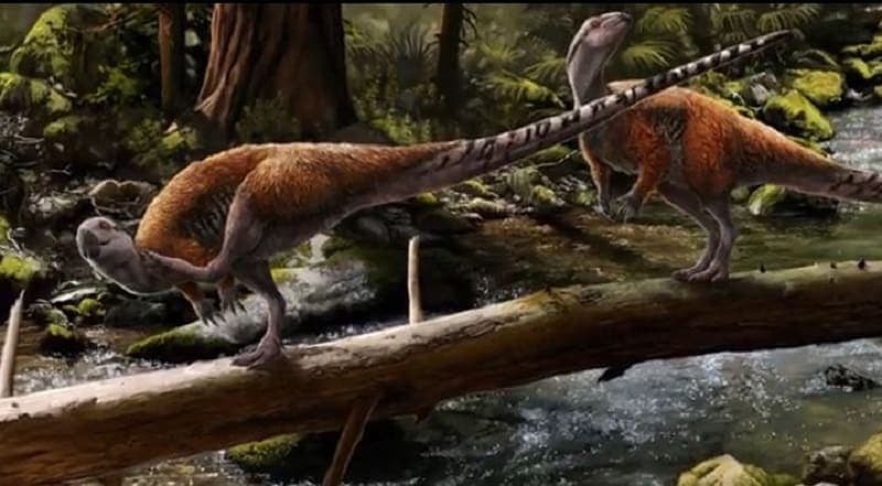 Descubren nueva especie de dinosaurio propia de Europa