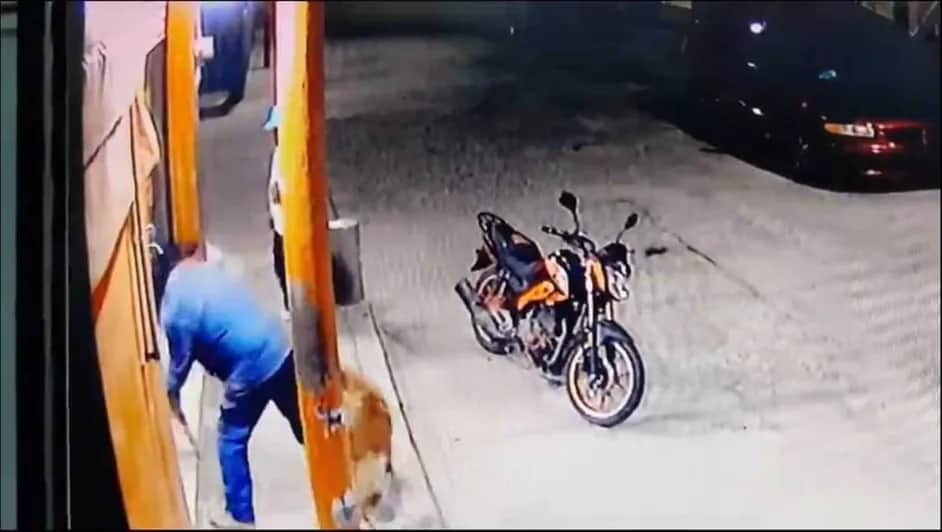 Video: Motociclista golpea a perro por ladrar en Zempoala, Hidalgo