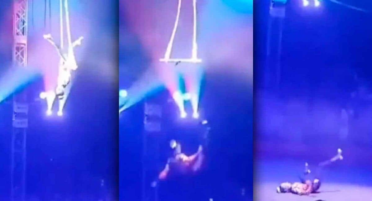 Video: Trapecista cae desde las alturas durante función de circo en Rusia