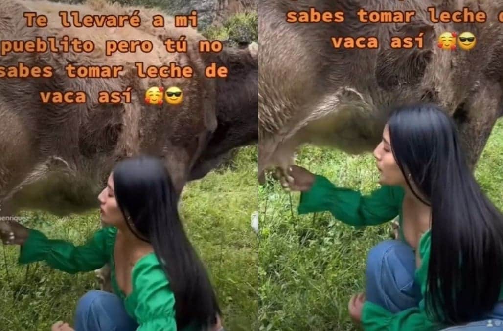 VIDEO: Mujer se vuelve viral por tomar leche directamente de las ubres de una vaca
