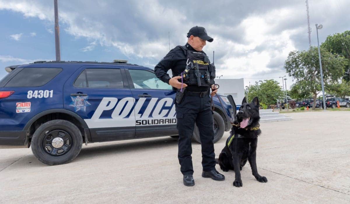 Binomios caninos refuerzan la seguridad en Solidaridad