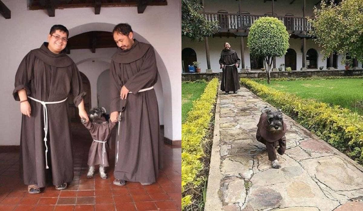 "Fray Bigotes", el perrito abandonado que después fue adoptado en un monasterio