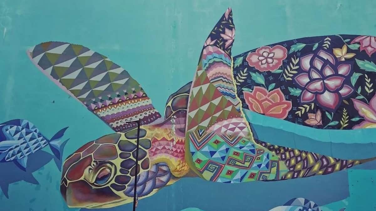 Buscan crear en Playa del Carmen la galería de arte urbano más grande del mundo