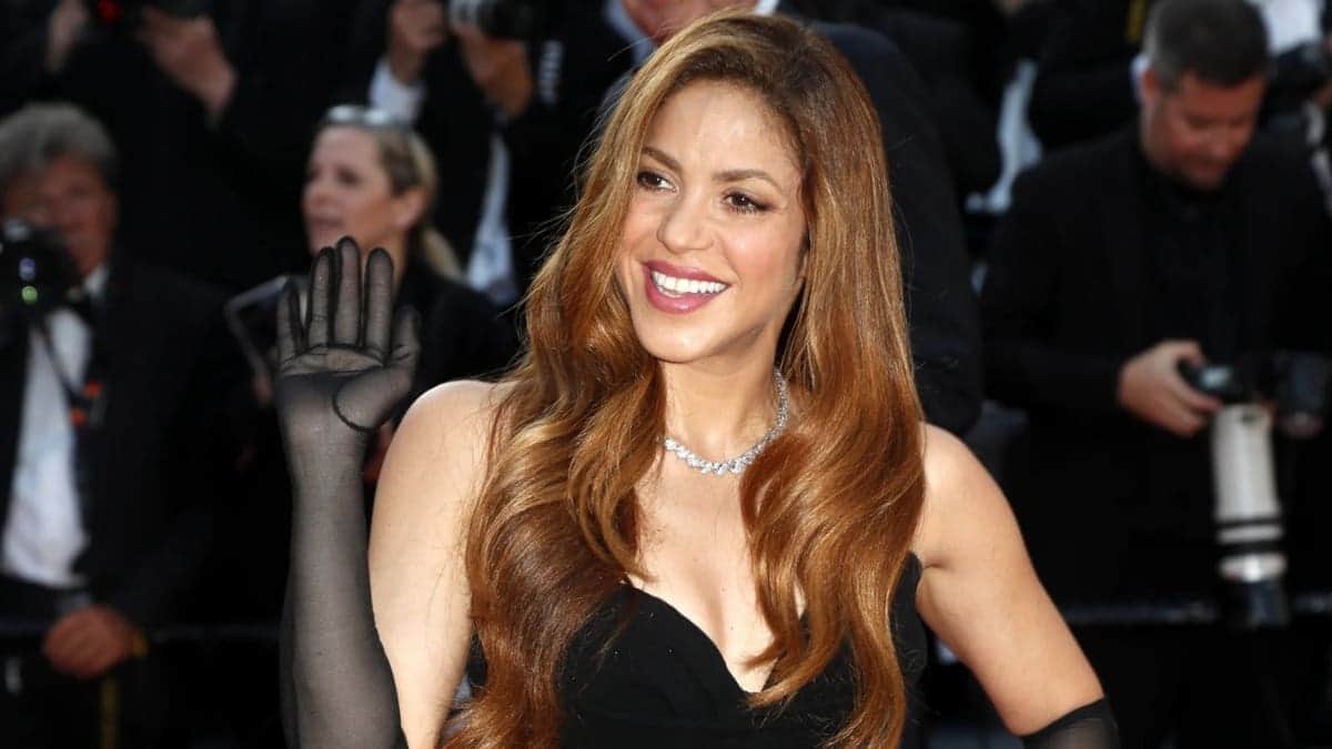 Video: Fan de Shakira fue tacleado por un guardaespaldas
