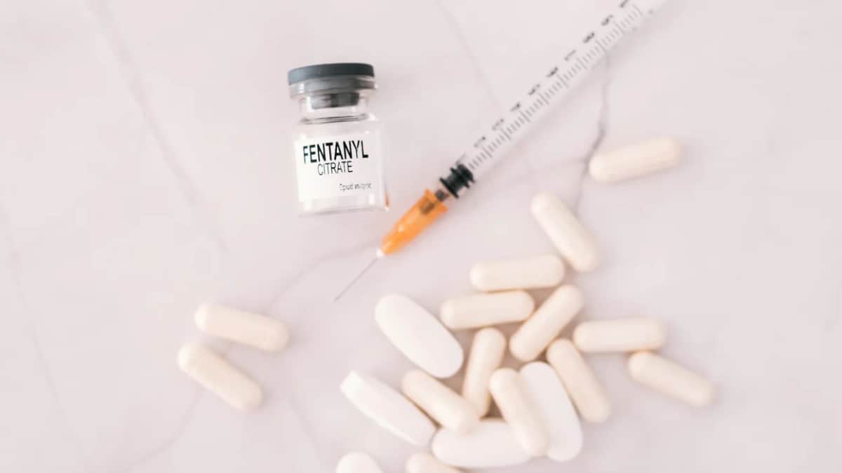 Los Chapitos prohíben el tráfico de fentanilo en Sinaloa; aparecen narcomantas con amenazas