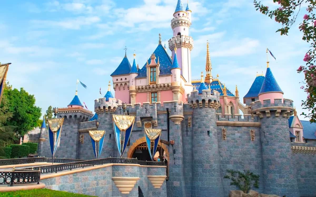 VIDEO: Arrestan a hombre en Disneyland por quitarse la ropa