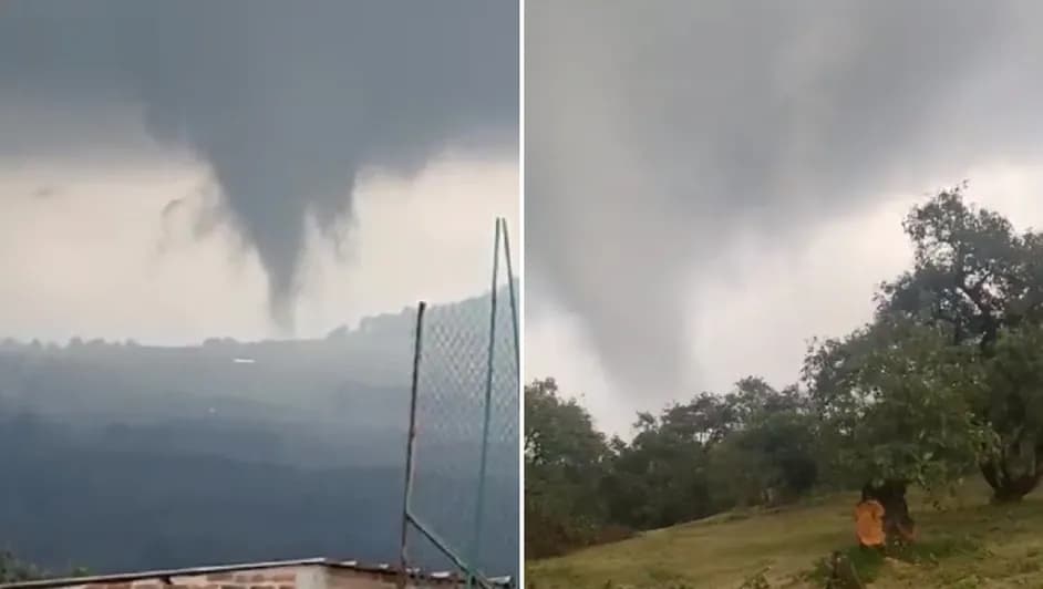 Video: Tornado arrasa con huertas de aguacate en Peribán, Michoacán