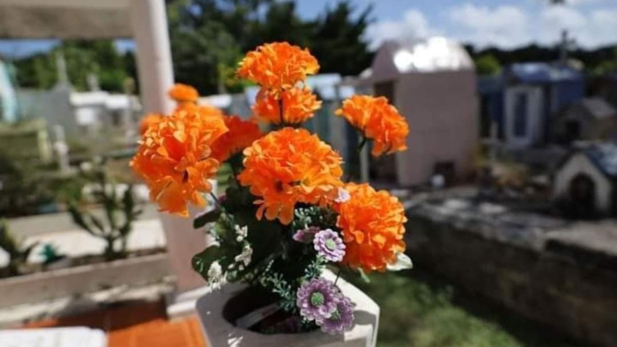 Esperan hasta 20 mil personas en los tres panteones de Cancún por el Día de Muertos