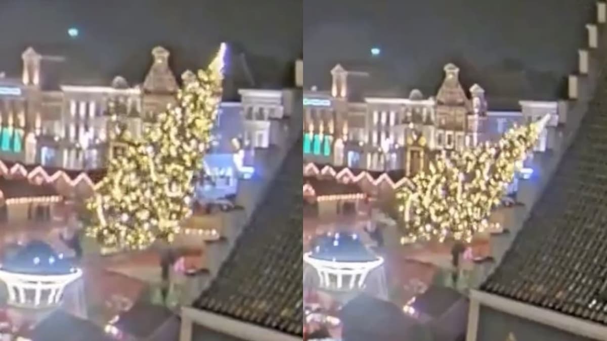 Tragedia en Bélgica: Mujer pierde la vida al ser aplastada por árbol de Navidad de 20 metros (Video)