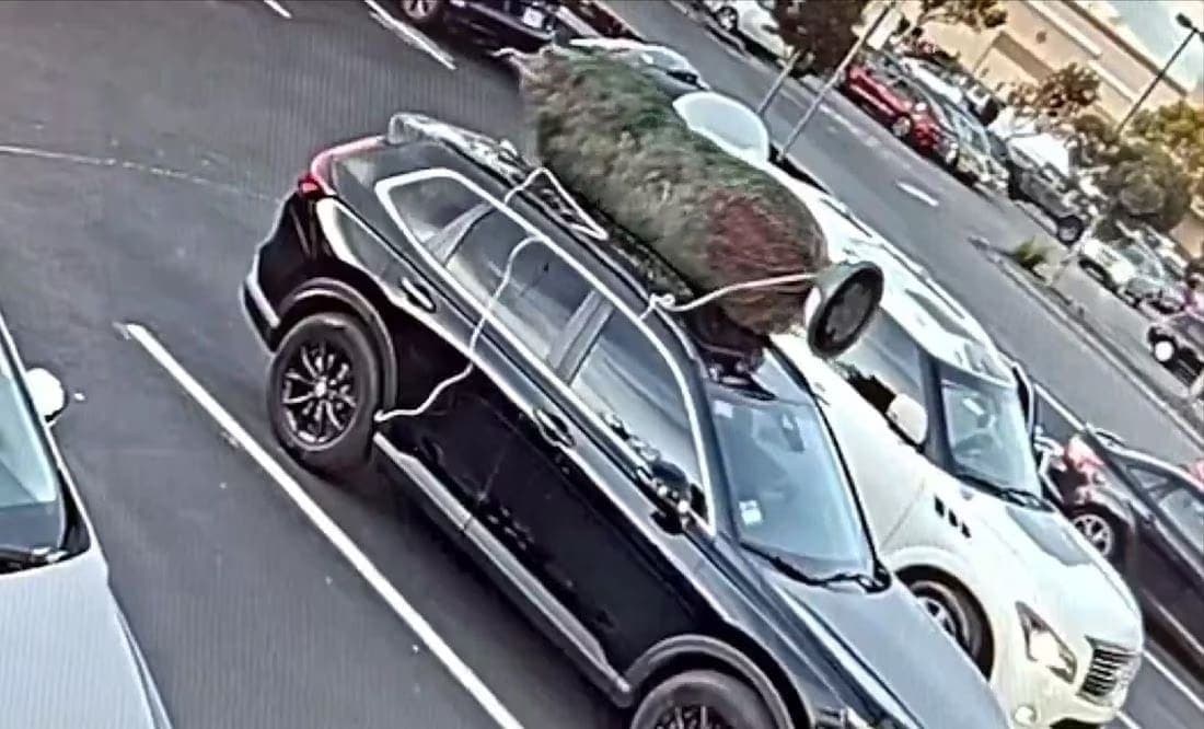 VIDEO: ¡Peor que el Grinch! Hombre se roba árbol de Navidad de una camioneta
