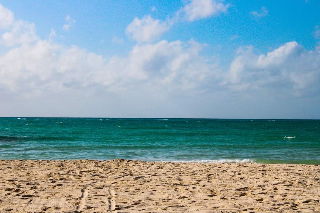 Visita las costas de Playa del Carmen que quedaron aún más limpias gracias al frente frío 31