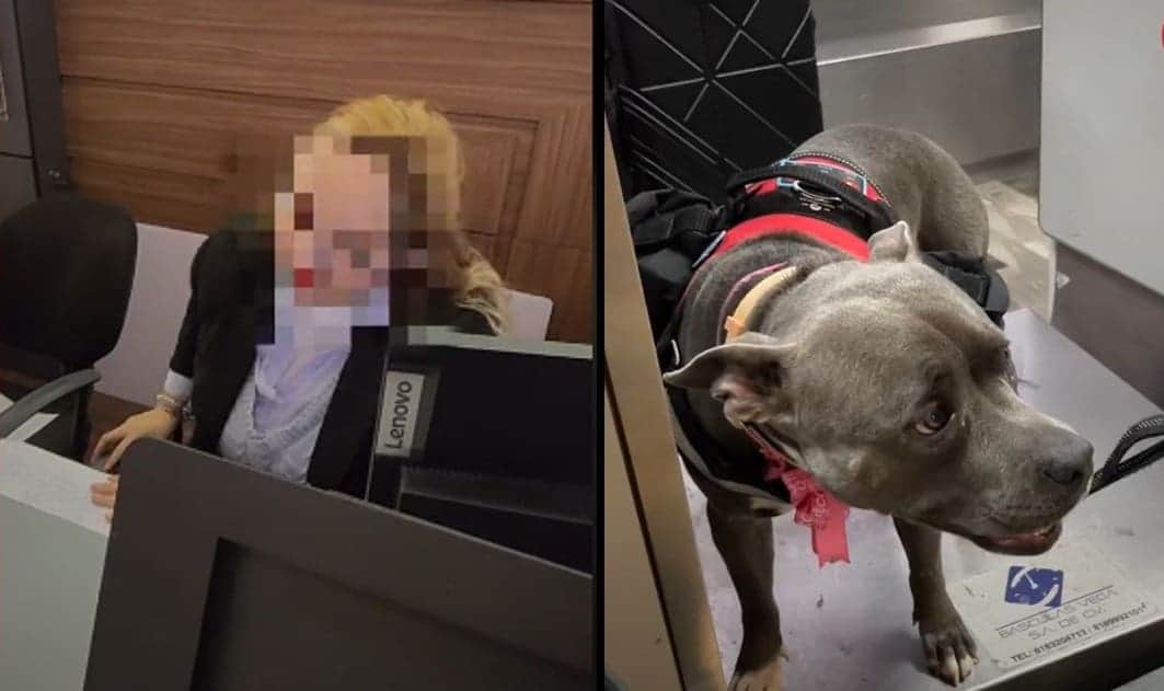 Video: Critican a empleada de Centro Comercial en Monterrey por discriminar a perrito de servicio