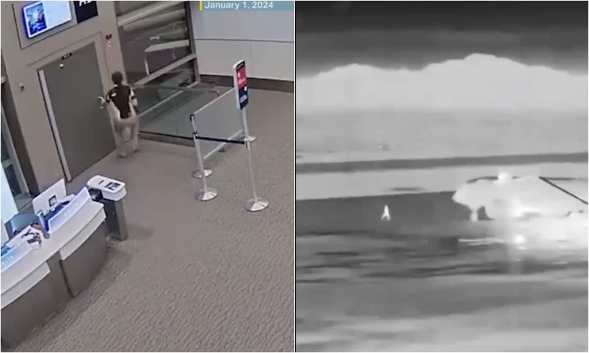 Video: Hombre muere tras ser succionado por la turbina de un avión