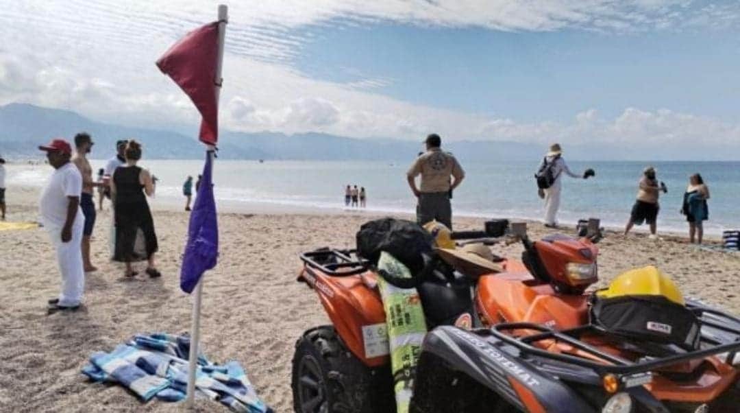 Puerto Vallarta cierra algunas de sus playas ante la presencia de un cocodrilo