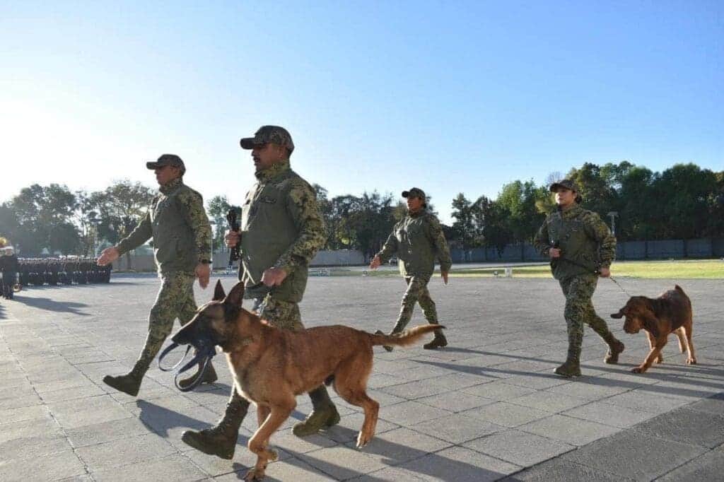 Se jubilan los perros rescatistas "Ecko" y "Max"; Semar les rinde un homenaje