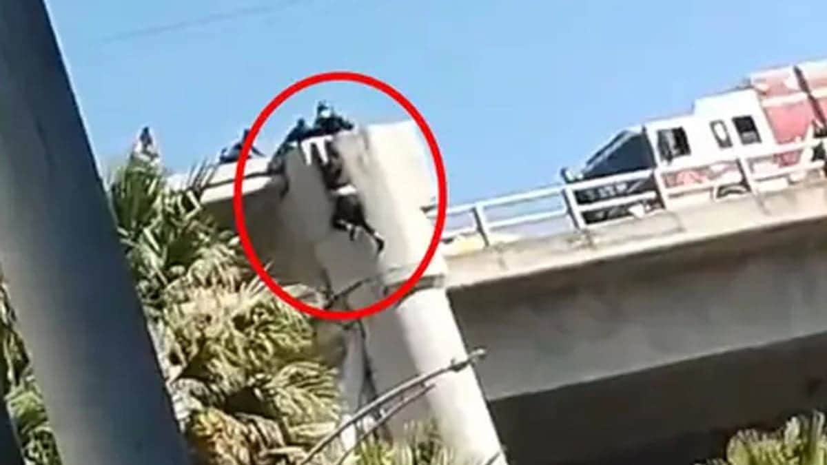 Video: Joven se avienta desde un puente en CDMX y sobrevive