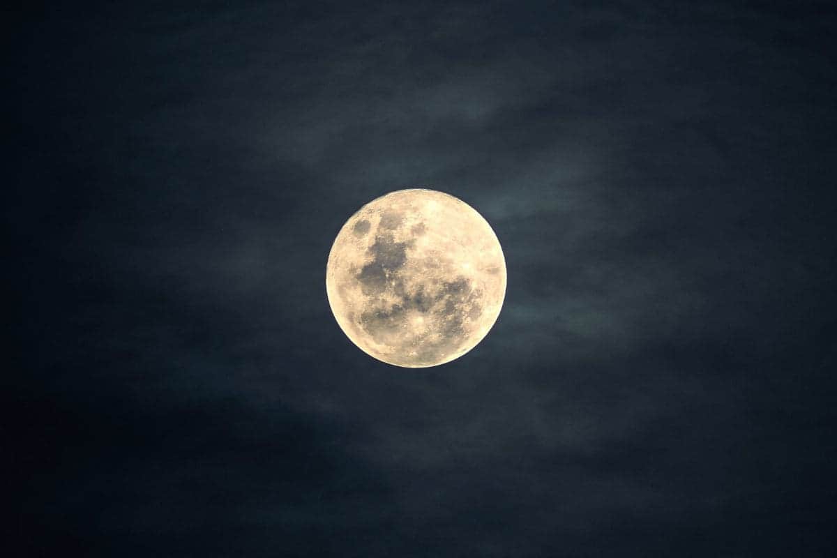 Realizarán primer lanzamiento privado a la Luna de la historia