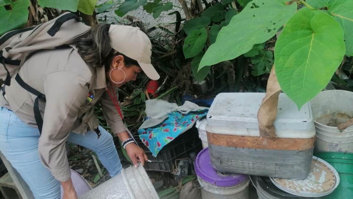 Invita SESA a aplicar estrategia de patio limpio en las viviendas