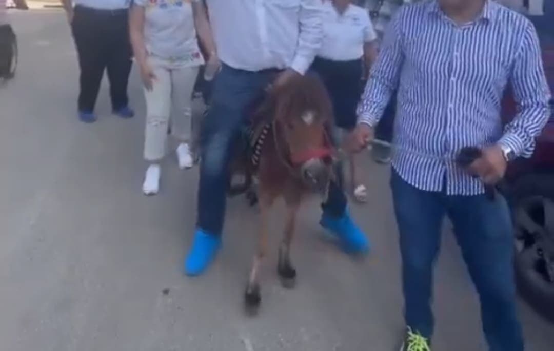 VIDEO: Tunden por maltrato animal a candidato panista que montó un pony en Yucatán