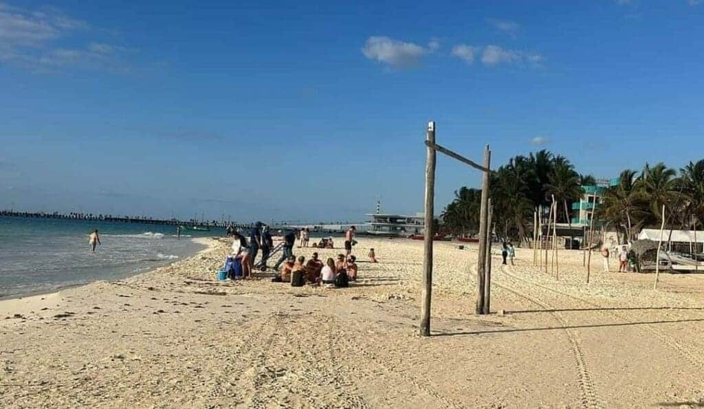 Costas de Playa del Carmen lucen espectaculares pese al recale masivo de sargazo