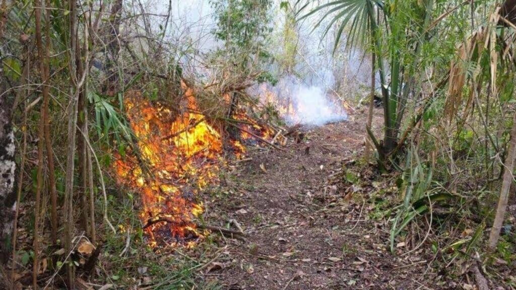 Exigen más responsabilidad a ciudadanos que inician "quemas controladas" en Playa del Carmen