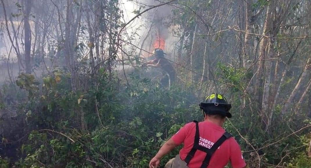 ¡Alerta! Llama Gobierno de Quintana Roo a prevenir incendios forestales