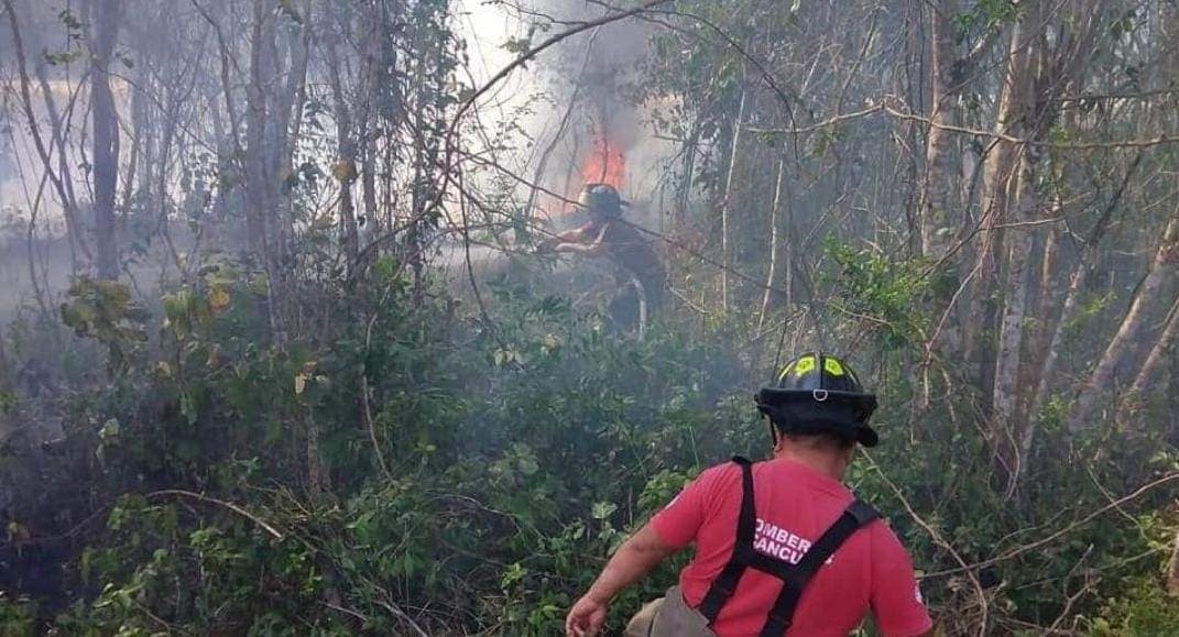 ¡Alerta! Llama Gobierno de Quintana Roo a prevenir incendios forestales