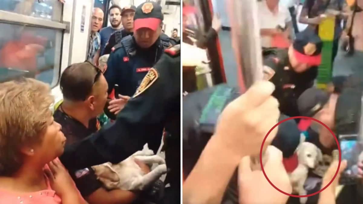 Video: Policías sacan a hombre que llevaba a su perrito herido en el Metro de la CDMX