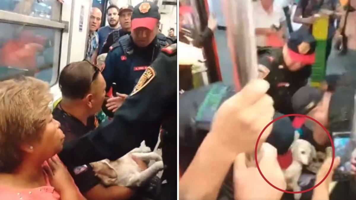 Video: Policías sacan a hombre que llevaba a su perrito herido en el Metro de la CDMX
